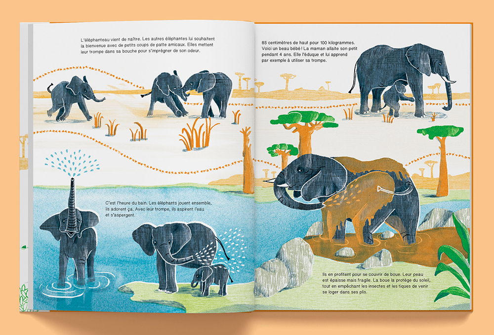 Au bain, bébé éléphant (livre bain) – Il était une fois