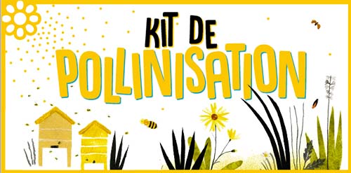 Kit de pollinisation