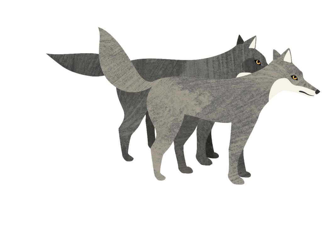 Loups