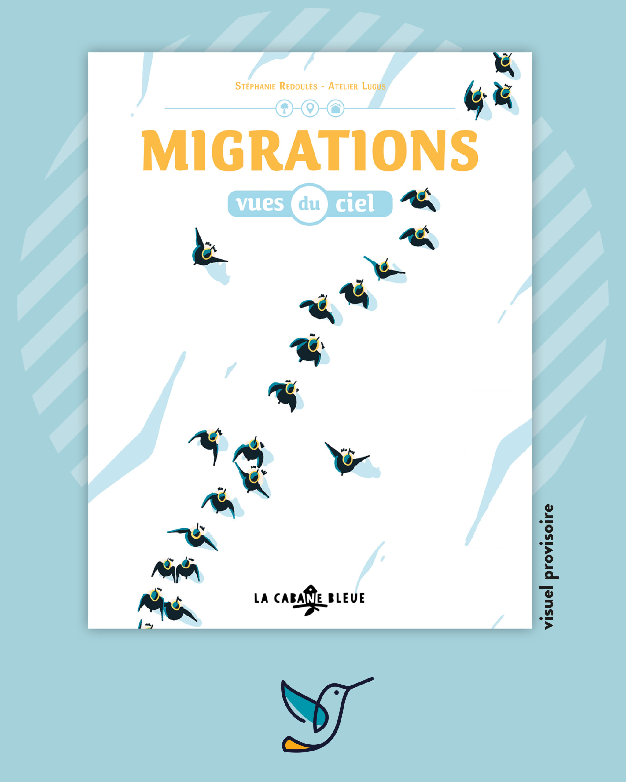 Migrations vues du ciel