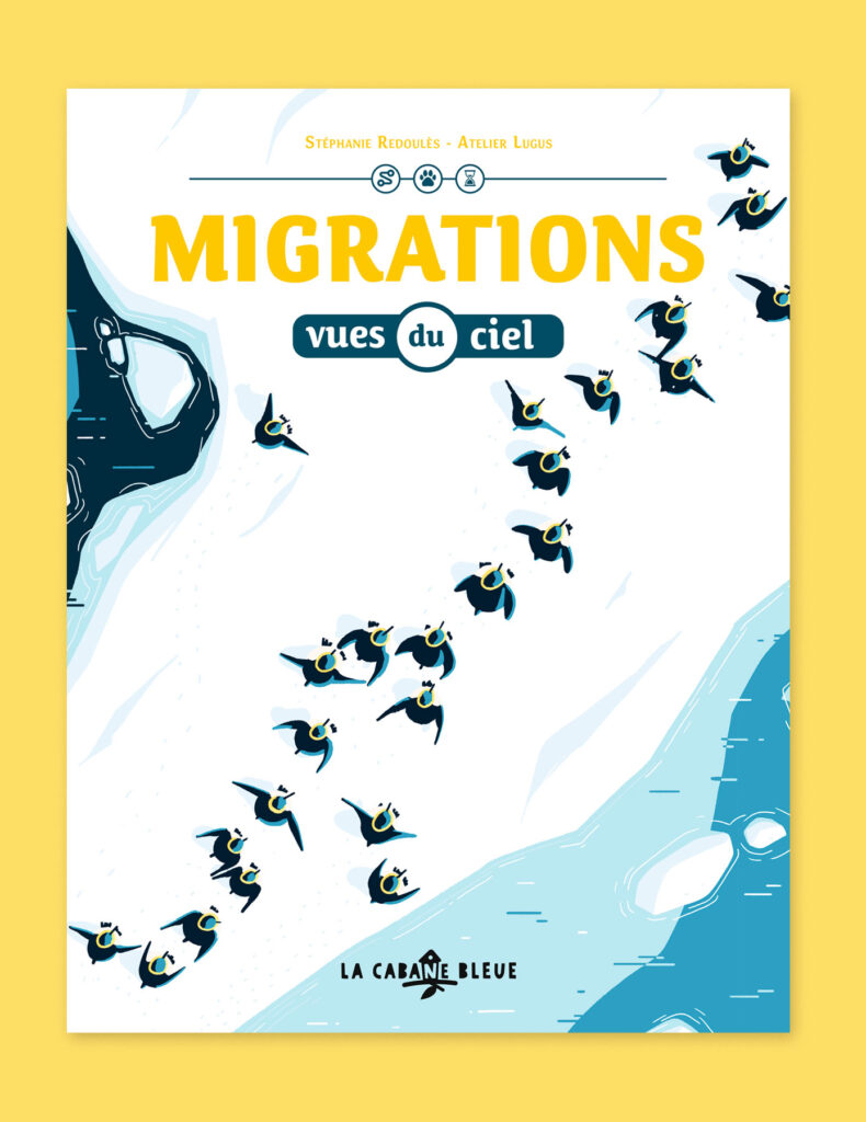 Migrations vues du ciel