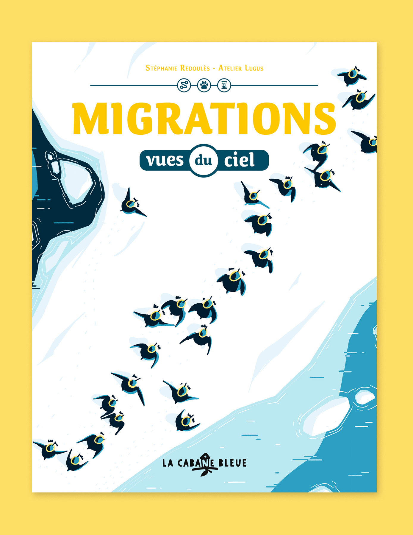 Migrations vues du ciel