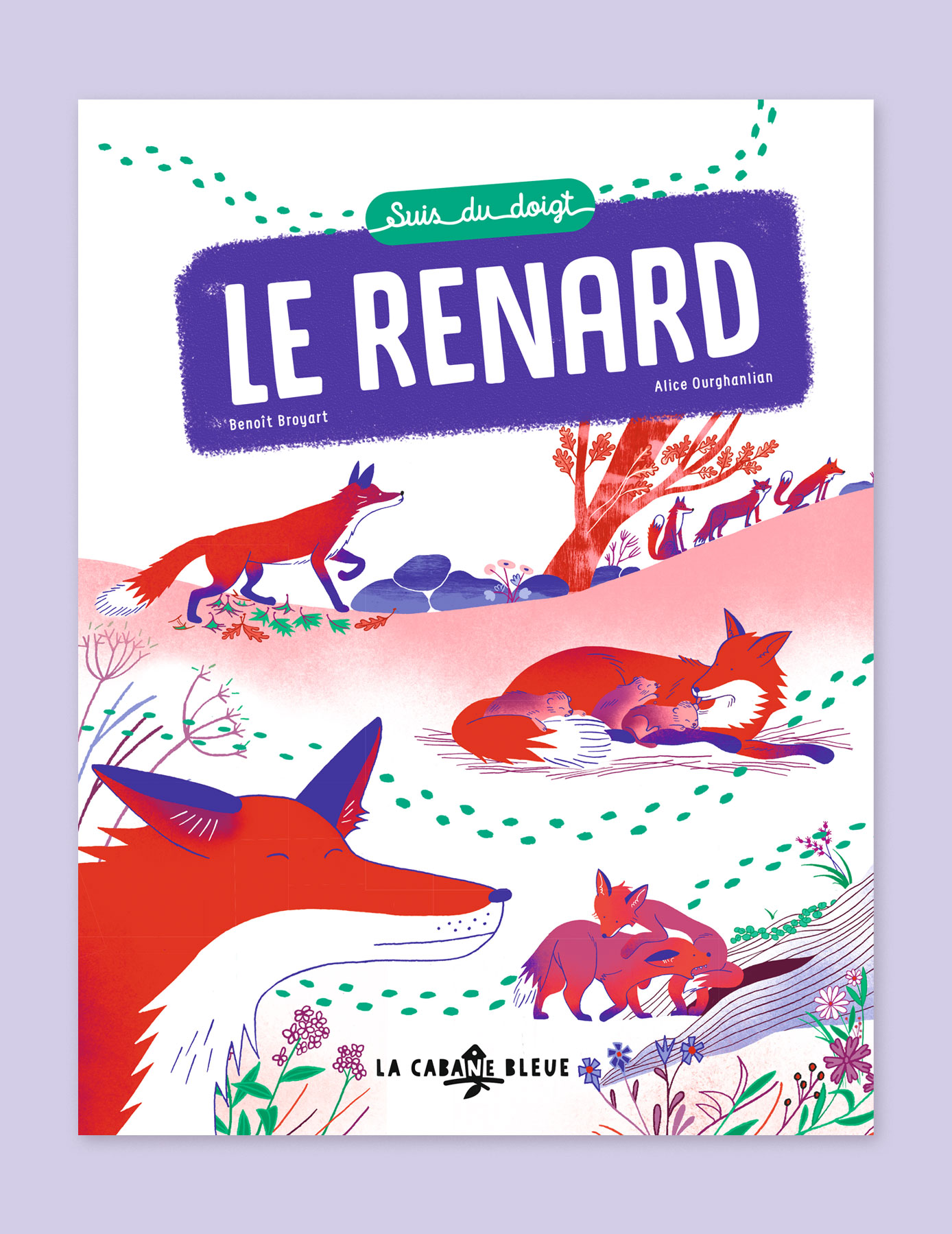 Suis du doigt le renard
